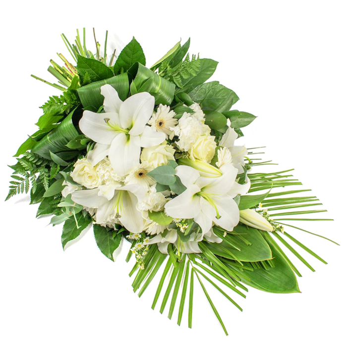 A sophisticated white and green funeral arrangement stretches diagonally across a bright white backdrop, its elongated spray shape suggesting a gentle bow of respect. At its centre, large white lilies open their trumpet-shaped blooms, revealing soft inner shading and pale yellow-green stamens dusted with pollen, while several poised buds introduce vertical interest and the idea of a life remembered over time. Surrounding them are clusters of creamy white roses in differing stages of bloom, along with fluffy white carnations that add ruffled volume and texture. Interspersed daisy-like white gerberas with subtle pale yellow or cream centres provide a clean, modern contrast to the more traditional flowers. Tiny sprigs of white filler bloom, like gypsophila or waxflower, are scattered throughout, catching the eye with their fine detail and adding an almost airy veil around the larger heads. The flowers are anchored in a rich tapestry of greenery, reminiscent of the layered foliage you might notice walking through the green spaces of Epping or along the lanes towards Theydon Bois. Shiny dark green leaves create a bold framework, while delicate fern fronds soften the edges and rounded eucalyptus leaves introduce a muted blue-green tone. Some of the longer leaves have been artfully folded and manipulated to form sculptural accents. The lower right portion of the spray is defined by a graceful fan of slender palm fronds, giving the tribute a flowing teardrop silhouette and a sense of movement that gently leads the eye downward. Designed as a one-sided display for placement beside a coffin, altar, or memorial, this arrangement expresses purity, reverence, and quiet comfort, ideal for funerals and remembrance services around Epping and neighbouring Essex villages.