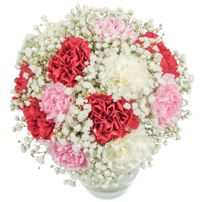 An abundant bouquet unfurls in all its splendor, expertly arranged by Epping florists familiar with the subtleties of seasonal beauty found near Epping Market. The design blends plush, ruffled carnations in a trio of distinct shades-vivid red, soft pastel pink, and gentle creamy white-fashioned into a rounded, immersive display that feels both bountiful and inviting. Punctuating the larger blooms, countless tiny sprays of pristine white gypsophila add soft, celestial highlights and a gauzy texture, reminiscent of drifting clouds above Epping Forest. The stems, neatly gathered within a clear glass vase, are partly visible through the water, reinforcing the sense of freshness and transparency. Set against a luminous white background and illuminated by soft, natural light much like a spring day along the High Road, the colours are rendered with clarity and warmth, each bloom radiant and pristine. This composition embodies messages of love, gratitude, and admiration, making it ideal for celebrating life's important milestones-from birthdays and anniversaries to heartfelt thank-yous. Its classic, elegant form and joyful colour harmony evoke the enduring charm that defines floral artistry in the Epping area.