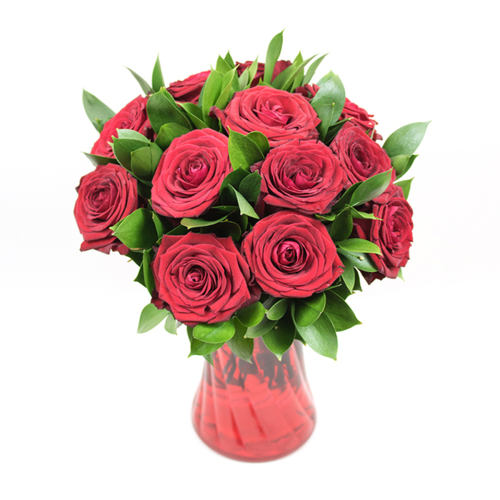 A dramatic bouquet of deep crimson roses stands centred in a translucent red glass vase, photographed on a pure white background that accentuates every tonal shift and texture. Around twelve to fifteen roses are arranged in a rounded, symmetrical composition, their blooms fully open yet still plush and generous, with layered, velvety petals curling outwards in tight spirals. The rich ruby red colour feels saturated and intense, evoking classic romance and making the arrangement the sort of showpiece you might see displayed in a living room overlooking Epping's green spaces after a special delivery. Nestled among the roses is an abundant spread of dark green foliage, likely ruscus or salal, with smooth, glossy leaves that arch slightly around the blooms. These leaves introduce depth and structure, their cool green tones providing a vivid contrast that makes the red roses appear even more opulent. The vase itself is crafted from red-tinted glass with a gently curving profile: slightly narrower at the base, widening through the middle, and flaring delicately at the rim. A subtle ribbed or swirled texture runs through the glass, catching and reflecting the light to create soft highlights that echo the movement of the rose petals. Through the semi-transparent glass, faint outlines of stems and shifts in colour can be seen, unifying the composition from top to bottom. The evenly lit white backdrop suggests a professional floral studio, like the workspace behind the counter at Flowers Epping, where such romantic arrangements are prepared with care for Valentine's Day, anniversaries, or any heartfelt occasion that calls for the timeless language of red roses.