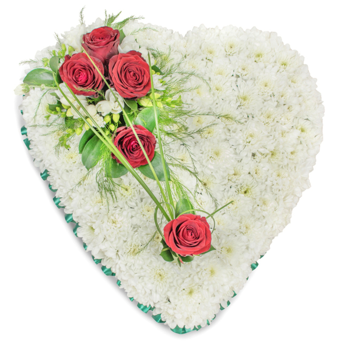 This image shows a refined heart-shaped funeral arrangement, meticulously composed to convey compassion and lasting affection. The heart itself is entirely massed with countless small white chrysanthemums, each bloom positioned closely beside the next to form a thick, plush covering with a gentle, cushion-like feel. Their crisp white petals glow against the plain background, suggesting calm, stillness, and a sense of purity. Flowing across this expanse of white is a diagonal trail of red roses, five in total, that draws the eye from the top-left curve to the lower-right area of the heart. At the upper left, three roses are grouped together in a focal cluster, their rich red tones and velvety, spiralled petals standing out dramatically. They are nestled into a mix of deep and mid-green foliage, including shiny rose leaves and feathery, fern-like sprigs, as well as subtle white filler flowers that soften the transition between red and white. Further down, one or two individual roses are set slightly apart on the right-hand side, their placement carefully balanced to create harmony and flow. Long, slender blades of bright green ornamental grass sweep from the main cluster across the chrysanthemum base, visually linking the different points of red and adding gentle movement to the design. The edge of the heart is crisply framed with a dark green satin ribbon, folded and pleated to follow the contours of the shape, giving a finished, professional look. Crafted in the style often requested by families in Epping and the surrounding villages, this tribute would be a fitting choice for a funeral cortege or memorial gathering, symbolising deep love, respect, and peaceful farewell.