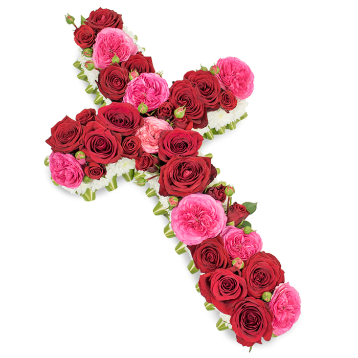 A traditional Christian cross made entirely from fresh flowers is presented against a spotless white background, its shape instantly recognisable and emotionally impactful. The core of the arrangement is a dense field of roses, closely packed so that the blooms create a smooth, continuous surface from top to base and across the arms of the cross. Large, fully opened deep red roses command the design, their velvety petals curling outward in layered spirals that suggest both richness and tenderness. Interspersed among these, clusters of vivid fuchsia pink roses and garden roses introduce a lively, slightly lighter note, their gently ruffled petals adding visual movement and a feeling of warmth, much like the vibrant seasonal displays seen around Epping town centre. Scattered throughout are smaller rosebuds in harmonious shades of red and pink, nudging between the fuller flowers and providing a sense of depth and progression, as if memories are unfolding one by one. The outer edge of the cross is crisply defined by a narrow band of small white blooms-delicate chrysanthemum sprays, carnations, or gypsophila-forming a soft halo that sets the cross apart from the background. Hints of green foliage and thin greenery threads peek discreetly from beneath the flowers, providing subtle definition without disrupting the strong colour block of reds and pinks. Gentle, even lighting ensures minimal shadowing, allowing the detail of each petal and the purity of the white border to stand out clearly. This floral cross is the kind of comforting funeral tribute a family in Epping might choose for a service near the High Street or for a quiet farewell at a local cemetery, expressing reverence, love, and a serene sense of hope.