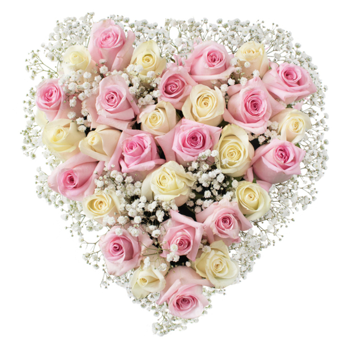 Gracefully composed by expert local florists, this heart-shaped arrangement combines approximately thirty luminous roses in shades of the palest pink and creamy yellow-white, nestled together to form a symbol of love and remembrance. The plush velvety petals swirl with softness, some roses presented as tight buds and others unfurling fully, creating layers of texture that stand out under even, natural lighting. Artfully interspersed through the roses are clusters of delicate white baby's breath, their airy blossoms filling any gaps, imparting the sense of purity and tranquility. This entire arrangement is set before a pristine white backdrop, enhancing the warm tones and elegant structure. Such a bouquet, reminiscent of the gardens near Bell Common or the quiet beauty found along Epping High Road, is ideal for conveying heartfelt sympathy or tender celebration alike. The heartfelt heart shape offers a universal message of compassion and memory, suitable for funeral tributes, anniversaries, or acts of loving kindness delivered throughout Epping and the surrounding neighborhoods. The artistry captures genuine emotion and the timeless appeal of roses, making it an unforgettable floral tribute shaped by the traditions and sensitivity of Epping's local florists.