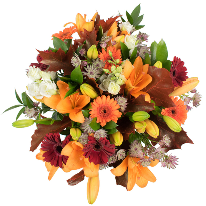 A richly textured, slightly elevated view of an autumn bouquet presented on a pure white backdrop, designed to read clearly in editorial images and seasonal feature articles. The composition centres on several open orange Asiatic lilies, their trumpet-shaped petals smooth and glossy, surrounded by both bright green and soft orange lily buds that suggest unfolding motion. Bright orange and deep burgundy Gerbera daisies punctuate the mass with bold, circular geometry and dark, contrasting centres, adding cheerful, rustic charm. Nestled between these larger elements are clusters of creamy-white lisianthus with ruffled, layered petals that bring tenderness and visual relief, while airy Astrantia in soft purple and grey-lilac introduces a spidery, detailed texture that draws the eye into the bouquet's finer points. Prominent, broad leaves in deep reddish-brown and chestnut resemble fallen oak or maple foliage and reinforce the arrangement's autumnal narrative; fresh green leaves and slender stems provide supporting structure and a living contrast. The lighting is bright and even, emphasising colour saturation and the plush surfaces of petals and foliage; the bouquet reads dense, fresh, and abundant, intended to evoke feelings of harvest, gratitude and warm celebration. This versatile design works well as a Thanksgiving centrepiece, harvest festival display, or a seasonal gift for a neighbour along Epping High Street or someone returning from a stroll through Epping Forest. The bouquet demonstrates considered florist technique-balanced colour, repeated shapes and textural contrast-making it a reliable visual for articles about fall décor, seasonal floristry or local market arrangements.