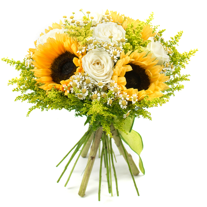 Captured against a bright white background, this hand-tied bouquet looks as if it has just been gathered from the sunlit edges of Epping Forest and expertly arranged. Dominating the heart of the design are three substantial sunflowers, their dark, seed-rich centres surrounded by perfectly formed rings of vivid yellow petals that seem to pulse with warmth. Between these bold faces, creamy white roses appear in different stages of opening: some still partially furled, others gently unfolding to reveal satin-smooth petals with the faintest ivory tint. Threading harmoniously through the composition are clusters of small white daisy-like blossoms, very much like chamomile or feverfew, each flower head tipped with a golden centre that mirrors the sunflowers on a miniature scale. Around and beneath the blooms, fine sprays of lime-green filler-similar to solidago-create a soft, feathery framework, giving the bouquet a rounded, abundant profile and lending the impression of fresh meadow grasses stirred by a light breeze. The long green stems are carefully aligned, their cut ends visible, and secured with a wide lime-green ribbon tied in a simple, confident knot that allows the ribbon ends to fall casually at the front. The overall effect is one of rustic elegance and effortless joy, like something you might carry home after visiting the Saturday market in Epping. This arrangement would feel perfectly at ease brightening a kitchen overlooking Bell Common, adding warmth to an intimate celebration, or serving as a thoughtful, sun-drenched thank you gift delivered across the CM16 area.