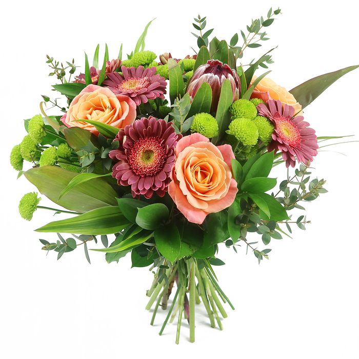 Photographed against a luminous white backdrop, this abundant, hand-tied bouquet appears as a vivid burst of colour and texture, much like a cheerful surprise arriving at a doorstep off Epping High Street. The arrangement is dominated by large roses in soft peach, apricot, and salmon-pink shades, their many-petalled blooms opening in generous spirals that reveal delicate colour gradients from pale, almost creamy outer edges to deeper coral and orange centres. Among these roses, bold gerbera daisies in deep fuchsia, burgundy, and magenta add a modern, graphic note; their numerous slender petals fan out around central disks that show subtle variations of lighter pink and textured seed detail. Rising confidently within the upper half of the design, a striking King Protea introduces an exotic focal point, its thick bracts layered like an artichoke and tinted in maroon, reddish-brown, and muted mauve-pink, giving the bouquet a sense of structure and contemporary style. Bright lime-green Santini chrysanthemums are scattered generously throughout, their neat, spherical heads providing lively contrast and a playful, pom-pom texture that lightens the overall look. The flowers rest in a cradle of lush greenery: broad, glossy dark green leaves lend solidity; slender, sword-like foliage creates height and movement; and rounded eucalyptus sprigs, with their bluish-green, coin-shaped leaves, introduce a cool, calming tone reminiscent of fresh air drifting over Epping Forest. The stems at the base are cleanly gathered and tied, showcasing expert floristry skills and suggesting a bouquet ready for immediate display. Ideal for occasions from birthdays and promotions to thank-you gestures, this design feels simultaneously elegant and welcoming, perfectly suited to same-day flower delivery throughout Epping and the surrounding villages.
