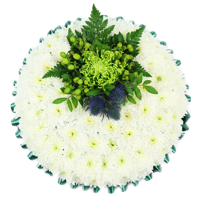 Captured from directly above, this round funeral cushion is a study in calm white and fresh green, ideal for a thoughtful farewell in and around Epping. The entire surface of the tribute is densely paved with small white chrysanthemums, spray or cushion varieties whose many layered petals form a soft, pillowy texture. Each flower is perfectly placed, so there are no gaps, just an unbroken field of white gently warmed by the subtle yellow-green centres at the heart of every bloom. Encircling the design, a wide band of emerald satin ribbon is carefully pleated into even scallops, creating a crisp, elegant frame that separates the floral cushion from the white background beneath. Towards the upper centre of the circle, a beautifully composed focal cluster introduces contrast and personality. A single lime-green spider chrysanthemum opens like a starburst, its long, thread-like petals reaching outward over a base of rich green foliage. Surrounding it are clusters of bright green Hypericum berries, polished and round, resting among dark feathery fern fronds and other leafy greens that bring depth and a sense of movement. Nestled in this leafy pocket, two distinctive Scottish thistles in muted blue-violet stand proudly, their spiky globes lending structure and a quiet nod to Scottish identity or family roots. The overall effect is one of purity, dignity, and understated symbolism, the kind of tribute Flowers Epping might create for a funeral or memorial service at a local church or crematorium. It radiates a sense of serenity and respect, offering a gentle floral companion for moments of remembrance across the Epping community.