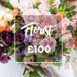 Rendered in close, flattering light, this premium Florist Choice bouquet reads like a small garden gathered and bound: multiple large blush-pink garden roses unfurl with lush, velvety petals reminiscent of antique lace, while deep plum, hellebore-like blooms create dramatic counterpoints that deepen the composition. Sheltering between them are delicate sweet peas in pale lavender and white, their soft, striped wings suggesting movement and a fleeting, fragrant note. Peach and coral ranunculus or similar multi-layered flowers form warm pockets of colour that breathe against creamy white fillers and tiny buds, producing a layered, painterly effect. Abundant greenery - trailing tendrils, slender sprigs and broader textured leaves - frames the bouquet and gives it a natural, garden-style silhouette that feels both generous and informal. The image includes a crisp white rectangular overlay centred on the blooms: an elegant script announces "Florist Choice" with smaller uppercase type beneath and the prominent price marker "?100" below, an unobtrusive label of the bespoke offering. Hands at the bottom cradle the neat stems; the holder's light clothing is softly out of focus, underscoring gentle human care without distracting from the flowers. The overall mood is quiet celebration - a bouquet that would sit comfortably on a mantel after an anniversary dinner, or arrive as a considered gift to mark a birthday or to say thank you - and it reads as a seasonal, expertly chosen arrangement ready for same-day delivery across Epping, from the High Street to the edges of Epping Forest.