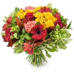 An expertly crafted, hand-tied bouquet that captures the richness of autumn in a dense, rounded composition, presented on a pristine white background. Deep burgundy and crimson gerbera daisies sit as bold focal points with their broad faces and darker centers, while smaller, saturated red roses-some in tight buds, others gently unfurling-add a timeless, velvety presence. Sprays of vivid yellow chrysanthemum-like blooms are generously scattered through the head, contributing a lively, sunlit texture against the deeper tones. Delicate coral-pink roses soften the palette and create gentle transitions between the reds and yellows, and flurries of red-orange alstroemeria offer fine, striped detail and movement. The bouquet is embraced by layers of foliage: glossy dark-green leaves give weight, lighter variegated greens add lift, and several sizeable bronzed, maple-like leaves are placed to emphasise the fall theme and a rustic, foraged feel. The stems are tied together in a neat bundle at the base, showing the green stalks and the careful hand-tied finish typical of seasoned floristry. There is a faint suggestion of autumn scent and the soft crinkle of dried leaves against fresh petals. This composition, pictured as if lit by morning light, suits a Thanksgiving centrepiece, a harvest celebration, or a thoughtful seasonal gift; Flowers Epping would imagine it arriving at a home near Epping Station or placed on a table overlooking Bell Common, quietly bringing the season indoors.