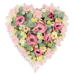 A detailed heart-shaped floral arrangement is shown resting on a bright white surface, its shape instantly recognisable and softly romantic. The outer edge of the heart is defined by a slim, soft pink satin ribbon that follows every curve, its smooth, pearly sheen visible along the sides and tied into graceful bows at the top and lower tip, like gentle punctuation marks of care. Inside this frame, the florist has packed the design densely with a luxurious mix of pastel flowers. Pink lisianthus, some a deeper rose-pink and others paler, are in full ruffled bloom, mingling with frilly light pink carnations to create a rich, velvety texture. Cream-toned and pale yellow spray roses nestle between them, their layered petals opening softly, bringing a touch of sunshine and warmth into the composition. Scattered here and there, tiny white daisy-like flowers with bright yellow centres offer a fresh, almost countryside charm, as if gathered from a quiet lane near Epping High Street or the edges of the forest. Silvery eucalyptus stems curve through the flowers, their round leaves catching the light, while darker green, variegated foliage peeps out from underneath, giving depth and a sense of natural movement. The overall palette is gentle and calming, echoing early morning light. This floral heart, likely prepared by an experienced local florist for a funeral or memorial service in Epping or nearby Theydon Bois, conveys a message of gentle remembrance and support. It feels like a tender embrace in flower form, offering comfort to grieving families while honouring the memory of a loved one with elegance and sincerity.