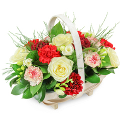 A serene funeral basket arrangement is captured in clear, even light, allowing every petal and leaf to stand out against a bright white backdrop. At its heart is a shallow, oblong basket made from pale natural wood, lifted slightly on small, subtle feet that give the tribute an air of careful craftsmanship. A smooth, arched handle rises from one side to the other, its soft, creamy tone echoing the quiet elegance of traditional sympathy flowers often delivered to homes and funeral services around Epping. From this basket, a generous mound of blooms spills gently outward, shaped into a rounded dome that feels full but not overwhelming. Creamy white roses, fully open and luxuriously layered, are the focal blooms, their soft petals suggesting peace, reverence, and cherished memories. Woven between them are deep red carnations, their densely frilled petals creating a rich texture and symbolising affection and devotion that endures beyond loss. Lighter, variegated carnations appear in white flushed with pale pink or edged with red, adding a tender softness to the colour story. Fine white flowers, similar to freesias with their delicate, bell-shaped florets, thread through the larger heads, introducing hints of movement and grace. The flowers sit on a cushion of lush greenery, with broad, dark green leaves providing structure at the base and airy, feathery green sprigs rising lightly over the top. The overall mood is one of gentle dignity, suitable for resting near a coffin, placing beside a memorial book, or sending as a thoughtful condolence tribute to an address off Epping High Street or near the forest, where nature and remembrance meet quietly.