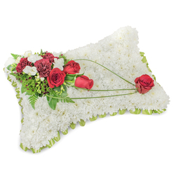 An elegantly composed memorial pillow, carefully arranged to express tenderness and respect, sits against a neutral white backdrop. The foundational surface is completely covered with dense clusters of immaculate white chrysanthemums, their compact blooms forming a soft, cloud-like texture that suggests peace and rest. A slim border of pale green ribbon or foliage traces the pillow's edge, offering a neat, finishing detail. At the top-left a rich cluster of deep red roses and dark red carnations creates a heartfelt accent: the roses range from closed buds to full, velvety blooms while the carnations' frilled petals add depth and texture. Tiny white accent flowers - delicate freesias or spray chrysanthemums - are tucked among the reds to brighten and soften the composition. Beneath and around these blooms, feathery fern fronds and glossy green leaves provide a verdant backdrop; slender strands of bright green bear-grass curve across the chrysanthemum surface in graceful arcs, visually linking the main spray to the rest of the pillow. These sweeping lines guide the eye to a single prominent red rose placed on the lower-right corner, a quiet, sustaining symbol of love and remembrance. The arrangement conveys a subtle, fresh fragrance and a composed, dignified presence suitable for church halls, funeral chapels, or a wake. Prepared with the care local customers expect from Flowers Epping, this sympathy cushion is available for considerate delivery across Epping High Street and nearby communities for moments when comfort and respect must be expressed.