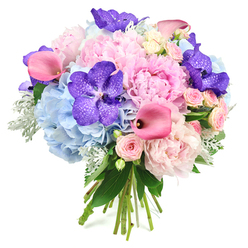 Set against a pure white backdrop, this abundant hand-tied bouquet feels like a pocket of calm lifted straight from a quiet walk through Epping Forest in late spring. At its centre, light pink peonies open in layered, billowy petals, each bloom full and rounded, with ruffles that seem to spill gently outward and invite a lingering touch. They are surrounded by cool powder blue hydrangeas, forming a soft halo of tiny clustered florets that cushion the brighter tones and add a sense of airy lightness. Threaded through these pastel clouds, vivid purple Vanda orchids bring a jewel-like intensity; their wide petals, scattered with darker speckles, offer a glamorous, almost couture feel, as if chosen for a stylish celebration in one of Epping's charming country-style venues. Arcing elegantly through the design, fuchsia pink calla lilies add sleek, trumpet-shaped silhouettes that contrast beautifully with the rounded peonies, creating movement and rhythm. Smaller blush pink spray roses are tucked between the larger heads, their many petal layers suggesting timeless romance and hand-crafted detail, much like the bespoke bouquets prepared daily by Flowers Epping for birthdays, proposals, and anniversaries. Around the blooms, silvery-green dusty miller foliage introduces a soft, velvety texture, while glossy deep green leaves bring structure and a freshly picked garden feel. The natural stems at the base are gathered and tied, revealing this as a carefully composed hand-tied bouquet, ready to be held as a bridal piece or placed in a favourite vase at home. Overall, the arrangement balances cool blues, gentle pinks, and rich purples in a way that feels both luxurious and serene, ideal for marking cherished occasions across Epping and the surrounding villages.