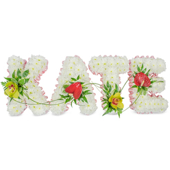 Set against a crisp, uncluttered white background, this floral name tribute spells out "KATE" in four bold, sculpted letters, each one a testament to careful, loving floristry. The letters are formed entirely from dense clusters of pristine white chrysanthemums, creating a velvety, cloud-like surface that feels soft and comforting, the way many families around Epping imagine a peaceful farewell. Tracing every outer edge is a fine, blush-pink ribbon, gently gathered so it ripples around the contours, giving the design a subtle touch of grace and femininity without overwhelming the purity of the white blooms. At the left side of the "K" and near the foot of the "T," lime-tinted cymbidium orchids with rich reddish centres stand proudly, their smooth petals catching the light. On the "A" and the "E," deep red, heart-shaped anthuriums add a bold, glossy focal point, almost like small love tokens placed among the flowers. Around these feature blooms, layers of dark and mid-green foliage, including fern fronds and polished leaves, create contrast and depth, while trailing green vines and tendrils arc and curve from letter to letter, quietly suggesting connection and continuity. The whole arrangement appears carefully balanced, with colour and greenery thoughtfully repeated so the eye travels naturally across the name. This custom sympathy tribute could be imagined resting by a graveside at Epping Cemetery or arriving as a special funeral flower delivery from a trusted local florist, offering a deeply personal, beautifully crafted expression of remembrance for someone called Kate.