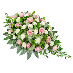 A refined sympathy spray in a classic teardrop form is displayed on a crisp white background, its soft pink and ivory tones radiating a sense of calm, like a pause of silence in the middle of a service at a small Epping chapel. The eye is first drawn to the roses, which are abundant and varied in shade, from the palest shell pink to a richer rose-pink hue. Some are gently unfurling like the first signs of spring, while others are fully open, their layered petals forming generous rosettes that seem almost touchable. Interlaced between the roses are white carnations, their finely pleated petals giving a gentle, cloud-like texture that contrasts beautifully with the smoothness of the rose petals. The flowers sit in a cradle of lush greenery: broad, dark green leaves create a strong foundation, while softer, rounded eucalyptus in a muted silver-green tone softens the outline and hints at a clean, subtle fragrance. Long, trailing strands of darker foliage extend from the narrower end of the spray, creating a graceful cascade that emphasises the teardrop shape. The arrangement feels carefully balanced, full yet never heavy, evoking quiet dignity and tenderness. It is easy to imagine this tribute resting atop a casket or beside a photograph at a memorial gathering in and around Epping, from Coopersale to Theydon Bois, offering a gentle reminder of enduring love and a final, beautifully crafted goodbye.