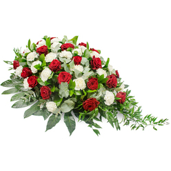 Displayed against a bright white background, this funeral spray presents a serene yet powerful expression of sympathy, its elongated shape stretching from a full, rounded left side to a slender, tapering right edge. The heart of the design is a rich cluster of deep red roses, each bud still tightly curled, lending an air of solemn dignity and enduring love. Nestled carefully among them, layers of fluffy white carnations form a soft, cloud-like texture that contrasts beautifully with the roses' smooth, velvety petals. The interplay of red and white suggests devotion, reverence, and peaceful farewell. Supporting these blooms is a generous foundation of foliage: broad, glossy dark green leaves create structure and depth, while silvery-green eucalyptus leaves thread throughout, adding a gentle, misty tone and hinting at a fresh, clean fragrance. From the right-hand tip of the spray, delicate trails of lighter green stems, possibly ruscus or similar airy greenery, float outward in loose, natural arcs, softening the silhouette and creating a sense of gentle movement, as though the flowers are leading a final, quiet procession. The overall mood is one of formal elegance balanced with warmth and tenderness, the kind of tribute families in and around Epping might choose to honour a loved one's memory at a church service or cemetery gathering. The careful composition and fresh, balanced palette reflect the work of a skilled local florist, sensitive to the emotional weight of farewell while offering a comforting, beautiful focal point for remembrance.