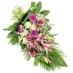 An elegant sympathy spray lies diagonally across a spotless white background, its elongated form creating a graceful cascade from the bound stems at the upper left down to a tapered point at the lower right. The design feels calm and composed, like a floral sigh of farewell often seen at services in Epping's local churches and chapels. At the heart of the tribute, large Stargazer lilies unfurl, their dramatic petals glowing in shades of rich fuchsia-pink with crisp white edges and fine burgundy speckling. Some blooms are fully open, while others remain in pale green and blush-pink bud, suggesting the continuation of life and memory. Nestled among them are bright magenta gerbera daisies, adding a youthful vibrancy to the arrangement and balancing the more traditional touches of flower choice. Creamy white roses, some still tightly wrapped, sit alongside soft, frilled white carnations, giving the composition a cloud-like gentleness that softens the strong lines of the lilies. Tiny white filler flowers, reminiscent of daisies or gypsophila, peep out between the larger blooms, adding delicate sparks of light. Surrounding this central cluster is a lush fan of greenery: wide, glossy foliage supports the spray, feathery ferns lend texture, and long, arching blades of leaf extend outward, accentuating the flowing teardrop silhouette. The lighting is neutral and even, allowing the rich pinks, whites, and greens to appear fresh and true-to-life. This hand-crafted funeral sheaf, the kind a local florist in Epping might prepare for same-day delivery to a nearby chapel of rest, expresses both solemn respect and a quiet, hopeful warmth.