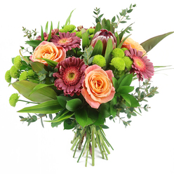 A richly detailed hand-tied bouquet is set against a crisp white background, giving the impression that it is floating in light, much like a fresh arrangement waiting on a windowsill in an Epping cottage near the forest. The design centres on opulent roses in shades of peach, apricot, and salmon pink, their petals layered in generous spirals that suggest softness and luxury, with subtle shifts of colour from pale cream at the edges to richer orange-coral depths. Interwoven among the roses are velvety gerbera daisies in tones of deep magenta and burgundy, their narrow petals forming circular halos around lighter, textured centres that draw the eye inward. Off to one side, a dramatic King Protea introduces a bold, sculptural element, its firm, pointed bracts stained in maroon and reddish-brown with touches of blush at the tips, echoing the earthy, natural character of the Epping countryside. Scattered throughout the bouquet, bright lime-green Santini chrysanthemums bubble up like tiny, joyful fireworks, their spherical, button heads adding both colour contrast and a fun, tactile feel. A generous collar of foliage frames the blooms: wide, glossy leaves create a strong base, slender variegated blades provide vertical movement, and rounded eucalyptus sprigs in bluish-green hues lend airy lightness and a suggestion of clean, herbal fragrance. The stems are visible and carefully tied, confirming this as a thoughtfully crafted floral gift, ideal for delivery to homes and offices around Epping. With its vibrant mix of warm and fresh tones, the bouquet captures feelings of celebration and affection, suitable for marking life's big occasions or simply brightening an ordinary day.
