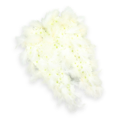 An exquisitely detailed angel wing funeral tribute is shown floating against a crisp white backdrop, its pure palette and gentle textures creating an atmosphere of stillness and consolation. Each wing is sculpted from countless tiny white flowers, tightly clustered so they resemble soft down, likely made up of miniature chrysanthemums or small carnations. Their petals are fresh and luminous, and at the heart of many blooms a whisper of pale green or buttery yellow appears, adding natural variation that keeps the design from feeling stark. Tracing the full arc of the wings, from curved shoulder to slender tip, layers of downy white feathers spill outward in fluffy, irregular lines, echoing the look of real angel wings at rest. The feathers catch the light and create a soft halo around the floral core, inviting thoughts of gentle guardianship and quiet blessing. A faint shadow beneath the piece adds just enough depth to suggest the wings are lightly hovering rather than lying flat. The arrangement radiates purity and tender farewell, making it a meaningful choice for a funeral, cremation service, or memorial gathering. It is easy to imagine this design being delivered by a trusted Epping florist to a home near Epping Forest or to a local chapel, where the angelic form would offer comfort to grieving families, symbolising peace, innocence, and a loving transition into the care of something higher than ourselves.