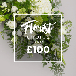 A softly lit, white-and-green spray radiates calm and refined luxury against a pale grey background, as if captured in a quiet moment at a local Epping market. White hydrangeas form a generous heart of volume, their large, rounded clusters catching the light with gentle texture, while pristine white roses weave through the arrangement in various stages of bloom, from tight buds to open blossoms, creating a serene, graceful flow. Lisianthus, pure white with faint hints of green, add lace-like elegance to the sides, balancing the generous greens that frame the blooms. Feathery ferns provide delicate movement, eucalyptus contributes a soft, silvery note, and ruscus grounds the composition with dark, glossy leaves. The overall mood is open, inviting, and subtly luxurious, ideal for a dignified occasion.

Across the center, a white panel with a faint glow overlays the greenery. Florist is written in a sweeping script, CHOICE stands tall in uppercase, a slim divider separates SPRAY beneath, and the price ?100 sits in bold type at the bottom. This Florist Choice Spray embodies careful design and expert floristry, a fitting choice for sympathy tributes, elegant gifts, or refined home decor. Flowers Epping brings this premium arrangement to life for customers in the Epping area, with reliable delivery to homes, chapels, or venues and a commitment to fresh, locally crafted floristry that reflects our town's character and standards.

