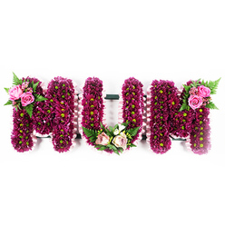 A graceful and deeply personal floral tribute forms the word "MUM" in large, block letters, photographed against a pure white background that emphasises the rich colours of the flowers. Every letter is completely covered with tightly placed chrysanthemum blooms in shades of fuchsia-purple and deep magenta, each flower showing a small lime-green eye at its centre, creating a lively yet respectful texture from edge to edge. Around the outer sides of the letters runs a delicate border of pale pink ruffled ribbon, giving the piece a soft, tailored frame, as you might see in bespoke funeral designs created by Epping florists for services at local chapels or countryside cemeteries. On the left-hand "M", the upper outer corner is embellished with an accent spray of bright, almost cerise pink roses, nestled among feathery green fern fronds and small leaves, adding height and gentle movement. The "U" carries its own focal detail at the lower curve: a tender gathering of blush pink and cream roses, interwoven with variegated greenery and airy white filler flowers, suggesting a quiet moment of calm within the bolder background of chrysanthemums. The right-hand "M" balances the design with a similar cluster of vivid pink roses and fern, placed on the top outer edge like a mirror image of the first. The overall effect is both striking and serene, a tribute filled with colour yet grounded in dignity. Families around Epping, Nazeing and the surrounding villages might choose this "MUM" floral tribute to honour a mother whose memory remains bright, offering a comforting focal point at a funeral, wake or memorial gathering.