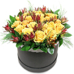 A stylish black hatbox stands centered against a bright white background, overflowing with flowers that look as though they have captured a shaft of golden sunlight. The arrangement is built in a rounded, dome-like form, densely filled with creamy golden yellow roses that immediately draw the eye. Their petals are soft and velvety, layered in perfect spirals; some blooms are wide open, revealing their full, generous hearts, while others still curl inwards slightly, giving a sense of movement and unfolding life. Nestled between these radiant roses are dramatic accents of deep burgundy Leucadendron, their slender, tapered bracts flaring upwards like tiny flames. The colour shift from deep red and maroon at the tips to muted green at the base adds depth and contrast, creating a sophisticated interplay with the sunny yellow petals. Around the base, a ring of lush, glossy dark green foliage forms a solid foundation, the leaves smooth and slightly overlapping, giving the bouquet a polished, finished look. From beneath the roses, wisps of light, fern-like greenery extend softly beyond the edge of the flowers, loosening the outline so it doesn't feel too formal, much like the relaxed, leafy edges of Epping's residential streets. Just visible at the top of the hatbox is a delicate band of white lace trim, its fine, almost vintage pattern offering a gentle counterpoint to the bold black of the box and the strong colours above. The overall impression is one of modern elegance with a romantic note, perfectly suited to same-day delivery around Epping-whether to celebrate a special birthday, say thank you after a gathering by Epping Forest, or bring a warm, uplifting glow to a quiet corner at home.