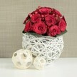 A lush, dome-shaped bouquet of red roses commands the centre of the photograph, radiating the sort of intimacy and warmth that suits a wedding breakfast or a candlelit dinner in Epping. The roses are densely arranged, each one a deep, velvety crimson, with petals layered in tight spirals on some blooms and relaxed, open whorls on others. This variation in openness lends the bouquet a sense of natural movement, as though the flowers are at different stages of revealing their full beauty. Nestled between the roses are small, rounded clusters of red Hypericum berries, their surfaces smooth and gently gleaming, adding a jewelled texture that plays against the softness of the petals. A discreet ring of dark green foliage underpins the flowers, providing just enough contrast to let the reds stand out even more vibrantly. The bouquet is cradled in a white spherical vase constructed from interwoven twigs or wicker, each slender strand circling and crossing to create an airy, openwork pattern. This orb-like container sits on a bright white tabletop, where the light filters through the lattice and casts subtle, tangled shadows. To the left, two additional woven spheres in a natural wood tone sit slightly apart, one larger and closer to the foreground, the other smaller and set behind, their organic, straw-like strips echoing the form of the vase. Behind it all, a softly blurred beige or taupe wall provides a gentle, unobtrusive backdrop. The scene feels serene and thoughtfully composed, like a table styled by a local florist who understands Epping's blend of countryside charm and contemporary taste, ready to grace celebrations from townhouses near the station to cosy homes edging Epping Forest.