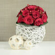 A compact, elegantly rounded bouquet of red roses dominates this serene scene, the flowers gathered so densely that their overlapping petals create a cushion of velvety crimson. Some of the roses are still just beginning to unfurl, their centres tightly coiled, while others open wider, revealing soft spirals that suggest tenderness and devotion. Tucked among them are tiny clusters of bright red berries, likely hypericum, which add a cheerful, almost festive sparkle and a hint of playful movement. Around the base of the bouquet, a ring of deep green leaves curves outward like a carefully placed wreath, their smooth, waxy surfaces reflecting light and providing a cool, grounding contrast to the warmth of the red blooms. The arrangement is nestled into a striking white vessel made from slender, twig-like strands interwoven into an airy, nest-like lattice. This open, sculptural container feels handcrafted and modern at once, reminiscent of the natural textures you might notice on a walk near Epping Forest, yet refined enough to sit on a polished dining table in a home off Epping High Street. In front of the vase, on a pristine white surface, rest two decorative spheres woven from flat, cream-toned wooden strips. Their open, basket-like pattern echoes the vase's design, creating a gentle rhythm of repeating shapes that guides the eye through the image. The background is a soft wash of warm beige, subtly textured like fine linen, allowing the red, green, and white elements to stand out without distraction. Overall, the image conveys a sense of quiet celebration and modern romance, as if this arrangement is waiting to be placed at the heart of a small wedding reception or intimate engagement dinner in Epping, bringing colour, fragrance, and thoughtful craftsmanship to the moment.