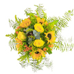 This bouquet captures the essence of a golden afternoon near Epping Forest, blending brilliant shades of yellow and orange to conjure hope and happiness. Large sunflowers, each with a rich, dark center, set the tone-radiating outwards like sunbeams glimpsed through park leaves. Around them, velvety yellow roses gather tightly, their soft spirals reminiscent of dew-drenched petals found on early morning walks along Lindsey Street. Sporadic bursts of orange-red berries bring lively contrast, suggesting the warmth of autumn festivals. The arrangement is enriched by sprays of eucalyptus and an assortment of glossy green fillers, weaving hints of blue-green into the color story. Feathery Asparagus fern surrounds the bouquet, gently arching in a way that adds both volume and a sense of breezy lightness, much like wind-tossed grasslands by local trails. The overall effect is both natural and meticulously arranged-each flower placed with expertise and a nod to Epping's seasonal landscapes. Subtle scents of rose and eucalyptus meld with the freshness of leafy greens, evoking comfort as well as celebration. Whether meant for a birthday, a thank-you, or to brighten a quiet corner, this radiant ensemble brings the vibrant beauty of Epping's countryside into any moment.