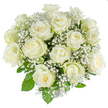 A serene hand-tied bouquet of approximately fifteen to twenty creamy white roses, arranged in a perfectly rounded dome against a seamless white backdrop. Each rose ranges from tight bud to softly unfurling bloom, their velvety petals showing the faintest wash of pale green at the outer guards - a small sign of fresh-cut life. Wisps of tiny white gypsophila (baby's breath) are woven through the heads like drifting clouds, their star-like florets lending an airy, snow-dusted texture that lifts the composition and softens the strong rose silhouettes. Fresh rose foliage in vivid greens peeks out beneath and between the blooms, its serrated leaves providing a natural contrast that makes the whites appear even more luminous under the bright, high-key studio light. The overall effect is one of quiet radiance and refined balance: every stem placed to support fullness and symmetry without excess. In scent, imagine a gentle, classic rose perfume tempered by the green, slightly herbaceous note of newly cut stems and the powdery sweetness of gypsophila. This image reads like a professional product shot for an occasion ranging from a wedding bouquet on a crisp morning to a sympathy offering set on a mantel; its purity suggests new beginnings, solace, and simple elegance. As a local touch, the arrangement is the kind often chosen for ceremonies in and around Epping and for intimate deliveries across the High Street and near the edge of Epping Forest, where understated white blooms are especially welcome.
