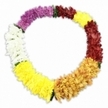 A single, vividly coloured floral lei is presented in a closed oval on a spotless white background, glowing as the light catches its many textured petals. The garland is thick and even all the way around, made from tightly strung, multi-layered blossoms that look like small chrysanthemums or carnations, each head plush and rounded so the lei feels substantial yet soft. Reading the colours from the top left and moving clockwise, the lei starts with a sweep of rich, deep purple flowers that suggest quiet reflection and respect, ideal for a thoughtful tribute. This purple fades into a compact section of bright white blooms, clear and uncluttered, before giving way to a sunny lemon-yellow band that introduces warmth and optimism. The yellow then ripens into a deeper, amber-gold section, recalling the amber glow of evening over Epping's Market Place. From there, the tones shift into a grounded run of dark maroon and reddish-brown flowers, their earthy depth carrying a more solemn, autumnal feeling. A final burst of bright yellow reconnects the circle, bringing a gentle cheerfulness back into the design. Small, dark green touches act like tiny leaves or separators at some of the colour boundaries, subtly defining each segment while maintaining the lei's continuous flow. The blossoms appear artificial, with consistent colour and durable petals chosen to withstand repeated wearing at services or gatherings in and around Epping, from quiet memorials to more celebratory life events. A delicate shadow beneath the lei adds depth, making the garland stand out clearly against the white, as if waiting to be lifted and offered in a gesture of welcome, love, or farewell.