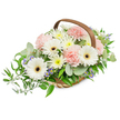 A gently flowing basket arrangement rendered in soft pastels and fresh greenery, ideal for moments of quiet comfort. In the centre sit several pristine white Gerbera daisies, their broad petals bright against deep brown to nearly black central discs that draw the eye and lend a calm, focused presence. Around them cluster ruffled, pale pink carnations whose frothy layers create a tender, romantic texture; the carnations tuck into the composition like soft, reassuring breaths. Filling the spaces are numerous small daisy-like spray chrysanthemums in creamy white and pale yellow, their compact heads giving the bouquet a full, comforting density. Tiny star-shaped flowers in delicate lavender-blue peek between leaves, adding a subtle cool contrast and a hint of delicate perfume. The blooms are cushioned by a lush variety of foliage: rounded, silvery-green eucalyptus leaves that bring a soft, modern sheen and a faint herbal scent, alongside glossy, dark green ruscus branches that trail gracefully outward from the left side of the basket to create a natural cascade. All of this is gathered in a hand-woven, light wood basket with a curved brown handle arcing above the flowers, which gives the design a quietly rustic, handcrafted charm. Soft, even daylight highlights the textures of each petal and the gentle sheen on the leaves, producing an overall sense of freshness and serenity. A piece like this - with its soothing palette of white, blush, and green - feels appropriate as a condolence tribute, a peaceful memorial gift, or a calming presence for a bedside or mantel, offering an understated expression of care and remembrance in and around Epping and nearby communities.