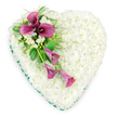 A tender, heart-shaped floral arrangement is shown from above, its design simple at first glance yet full of considered detail. The heart is entirely filled with closely packed white spray chrysanthemums, each small flower placed so tightly that together they form a seamless, plush blanket of petals. This velvety carpet of white creates a profound sense of stillness and purity, making the shape of the heart clear and comforting. Encircling this bed of flowers is a vivid emerald green ribbon, satin-like in finish, that hugs the outline and provides a crisp, elegant edge, as if carefully framing a precious memory. On the upper left of the heart sits an expressive spray of deep magenta calla lilies, their sleek, fluted blooms curving in that signature trumpet form. A few of the lilies stand tall and fully open at the top of the spray, their rich colour and dark centres more intense against the white, while others taper gently downward, partially unfurled, giving the impression of a soft floral trail across the heart. Nestled between the calla lilies, clusters of small white freesias or similar fragrant blossoms soften the composition and echo the chrysanthemum base with a more delicate, airy feel. Surrounding foliage in varied greens-broad, glossy leaves and fine, feathery fronds-adds natural rhythm and fullness. The overall effect is serene, dignified, and deeply personal, the sort of tribute a family from Epping might choose to lay at a crematorium or church service, offering a quiet, beautiful expression of love, sympathy, and remembrance during a final farewell.