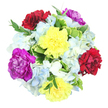 Set against a pristine white background, this bouquet appears as a vibrant, round burst of colour, captured from directly overhead so every blossom can be admired. Six prominent carnations anchor the design, their ruffled petals unfolding in soft layers. Two of them are a bright, buttery yellow, radiating cheerfulness like sunlight pouring into an Epping café on a clear morning. Two others are a velvety burgundy-red, adding depth and romance, the sort of tone that makes you think of cosy evenings and heartfelt words. The pair of magenta-purple carnations completes the central trio of hues, their rich, jewel-like colour suggesting elegance and celebration. Surrounding these statement flowers are clusters of pale blue and creamy white hydrangeas, their many tiny petals forming pillowy mounds that feel calm and airy, like small clouds drifting above the streets near Epping Station. The hydrangeas soften the boldness of the carnations, adding a gentle, dreamy layer to the overall look. Threaded between the flowers is a mix of fresh greenery: some leaves broad and variegated with creamy edges, others slimmer and deep green, giving structure and a sense of natural movement, as though the bouquet has just been gathered from a well-tended garden. The lighting is bright yet gentle, catching the subtle textures and making the colours appear clear and true. Designed with a careful florist's eye, this mixed arrangement feels ideal for marking happy moments-a birthday surprise, a thank-you gesture, or simply a way to bring colour and joy into a home near Theydon Bois Road with same-day local delivery.