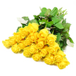 A hand-gathered cluster of roughly two dozen yellow roses is displayed against a flawless white background, the simplicity of the setting allowing the flowers' gentle radiance to speak clearly, much like a thoughtful condolence delivered to a family in Epping. The roses are arranged so that their heads form a generous, slightly domed shape, with blooms at different stages of openness adding natural variation: some are compact and bud-like, while others reveal more of their spiralled centres and softly ruffled petals. The yellow hue is warm but not harsh, suggesting quiet optimism rather than celebration, as if the flowers were chosen to bring a touch of light to a sombre room near Station Road or the quiet residential streets leading towards North Weald. Rich green leaves frame the blossoms, their surfaces smooth and almost reflective, catching hints of light and creating a comforting contrast to the yellow petals. A few leaves tilt or twist just enough to reveal a softer, matt underside, enhancing the sense of depth and authenticity. The stems collect together slightly off to one side, slender and fresh, giving the impression that this is a freshly cut bouquet prepared by an attentive local florist who understands how flowers can speak when words are difficult. With no vase, ribbon, or additional adornment, the focus remains on the natural grace of the roses themselves, making this image an evocative representation of sympathy flowers-offering quiet support, gentle warmth, and a respectful tribute to cherished memories.