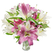 A lush, artfully gathered bouquet of oriental lilies dominates the frame, a study in contrasts between creamy off-white blooms and deep fuchsia-pink flowers, set against a crisp white background. The composition feels both abundant and graceful: many lilies are fully open with broad, silky petals formed into trumpet and star-like shapes, their prominent stamens tipped with delicate anthers and a few flecks of pollen visible on the inner petals. Interspersed among the open faces are elongated buds, particularly toward the upper edges of the arrangement, promising more blossoms to unfurl over the coming days. The white lilies carry a whisper of pale yellow or soft green at their throats, while the pink varieties show velvety depth with subtle lighter veins and a creamy center that catches the light. Dark green, lance-shaped foliage threads through the bouquet, its glossy blades creating elegant lines and a natural frame that heightens the petals' colours. The stems are neatly gathered into a simple, clear glass vase seen at the bottom centre; the transparency reveals trimmed green stems and clear water, a quiet indicator of freshness. Bright, even studio lighting accentuates petal texture and the soft sheen on leaves, making the arrangement appear fresh and fragrant-imagine a faint, heady lily perfume that suggests spring mornings. This bouquet reads as refined and celebratory, suited to birthdays, anniversaries, or to lift a living room near Epping High Street or after a walk through Epping Forest, where such seasonal scents feel perfectly at home.