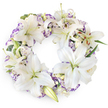 An immaculate, full-circle floral wreath stands out crisply against a plain white background, its carefully arranged white and purple flowers creating a sense of calm, respectful beauty. The ring is formed predominantly of large white Oriental lilies, their petals satin-smooth and gently arched, each bloom revealing a soft green centre with prominent stamens tipped in golden-brown pollen. Some lilies are fully open, basking in the light, while others remain as smooth, elongated buds, hinting at blooms yet to unfold and suggesting the ongoing journey of the soul. Threaded throughout the lilies are clusters of white and lavender lisianthus, their ruffled, purple-edged petals giving a romantic, almost lace-like softness. These blossoms nestle closely together, building a plush, cushiony texture that looks as though it has been shaped with patient, expert hands in a small Epping flower studio. Slender stems of dark green foliage and a few silvery, eucalyptus-style sprigs weave quietly in the background, adding depth and subtle contrast yet never overpowering the serene palette. The composition is balanced and symmetrical, with flowers radiating evenly around the circle so the wreath appears harmonious from every angle-ideal for placement beside a coffin, at a crematorium chapel, or on a memorial stand in Epping and nearby villages. The overall feeling is one of quiet strength, purity, and loving tribute, created to bring a gentle sense of comfort and grace to families navigating loss.