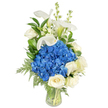 A tall, graceful bouquet sits poised in a clear, tapered glass vase against a clean white backdrop, the composition arranged with the quiet confidence of an experienced hands-on florist. At its heart is a generous, rounded cluster of deep, vibrant blue hydrangeas - their massed florets almost velvety, cool to the eye and lending a dramatic, serene focal point. Nestled around and below the hydrangea cluster are several fully opened, creamy white roses whose layered petals read like soft, buttery spirals, offering a gentle, classic warmth. Rising above the central mass are sculptural white calla lilies, their trumpet-shaped spathes arching with elegant verticality and a faint green wash at the base. Interspersed among these are slender spikes of delicate white snapdragon-like blooms, adding a slightly whimsical, upward movement. Rich green foliage - broad, glossy leaves reminiscent of salal or lemon leaf and feathery leatherleaf fern fronds - threads through the arrangement, cascading softly toward the vase mouth and creating natural depth. The stems are cleanly cut and visible through the transparent glass, sitting in fresh water that suggests recent arranging.Seen in soft, neutral light, this design reads as calm and sophisticated; its textures suggest the coolness of early morning and a faint, powdery floral scent that would be delicate rather than heady. The bouquet would lend itself to moments of remembrance, a refined anniversary gift, or a serene table centerpiece for a small gathering near Epping Forest or the High Street. The isolated white setting keeps attention on the flowers' forms and tones, communicating both professional craftsmanship and an emotional clarity suited to thoughtful occasions in and around Epping.