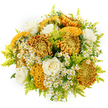 A richly textured autumn bouquet is presented against a stark white background, making its warm tones and intricate forms glow as though illuminated by gentle morning light filtering over Epping's market area. At the centre are large, showy chrysanthemums in a spectrum of antique gold, saffron yellow, and bronze-orange, their countless petals layered densely into plush, spherical blooms that almost seem to radiate warmth. Interspersed among these are more unusual chrysanthemum or cockscomb-style heads with tight, brain-like folds in mustard and earthy brown, creating fascinating peaks and valleys that draw the eye. Nestled calmly within this vibrant mix are several creamy white roses, their velvety petals unfurling in neat spirals from the centre outward, offering moments of understated elegance and softness. Scattered through the arrangement are delicate clusters of small, daisy-like flowers-likely feverfew-with bright yellow centres ringed by crisp white petals, giving a whimsical, meadowy charm reminiscent of wildflowers edging paths around Epping Forest. Fine, airy stems of lime-green foliage, similar to solidago, thread between all the blooms, adding freshness, texture, and a subtle vertical movement that keeps the bouquet feeling light despite its fullness. The composition is carefully crafted into a rounded, generous shape, brimming with flowers from edge to edge, showcasing the skill of a professional florist familiar with local tastes. Against the clean white backdrop, every colour and petal is easy to distinguish, creating an impression of joyful abundance and quiet luxury-perfect for sending comfort, congratulations, or seasonal cheer to homes and offices throughout Epping and nearby communities.