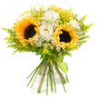 Set against a pure white background, this exuberant bouquet radiates the carefree brightness of a summer afternoon in Epping. At its core, three large sunflowers draw the eye immediately, each one a striking disc of deep brown seeds encircled by many layers of strong, golden-yellow petals that seem to glow from within. Interlaced among them are several white roses, their petals creamy and velvety, spiralling tightly at the centre and softening toward the edges, bringing a refined, romantic note. Scattered throughout the arrangement, small white daisy-type flowers-resembling chamomile or feverfew-add charming detail; their fine petals and neat yellow centres give the impression of a wildflower meadow translated into a hand-tied bouquet. A veil of light, feathery chartreuse greenery, similar to solidago, surrounds and supports the flowers, lending both volume and a vivid lime-green accent that makes the yellow and white blooms appear even fresher. The stems are gathered firmly in one hand-tied bundle, their natural lengths visible below the blooms and bound with a smooth lime-green ribbon that wraps the base in a neat band and falls delicately at the front. The lighting is bright and even, highlighting every curve of petal and every wisp of foliage with crisp clarity. The bouquet feels joyful yet relaxed, perfect for a birthday brunch near Epping Station, a thank you gesture to a neighbour on Bower Hill, or simply a way to bring a burst of sunshine indoors on an overcast Essex day.