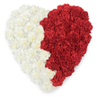 Overhead, the image reveals a plush, heart-shaped composition made entirely from countless fresh carnations, arranged with meticulous density against a clean white backdrop. The heart is split straight down the middle into two bold colour fields: the left side composed of soft, off-white to cream carnations whose ruffled, layered petals form a pillowy, textured surface; the right side built from intensely saturated red carnations whose velvety frills create a warm, dramatic counterpoint. The junction between the halves is a crisp vertical seam, where the tiny blooms meet in a controlled, serrated rhythm that gives the impression of a stitched or saw-tooth edge without breaking the visual unity. Under soft, diffuse studio light the carnations' subtle shadows and highlights accentuate each bloom's crinkled edges and the overall three-dimensional plushness, while a faint spicy-carnation scent seems almost imaginable from the dense clustering. This two-tone design-snowy cream beside deep red-reads as a powerful emblem of national affection and civic pride, commonly associated with the flag colours of Bahrain, and it carries quiet ceremonial weight whether placed beside a memorial, displayed at a civic celebration, or offered as a heartfelt tribute. As a florist who frequently works in and around Epping Forest and the High Street, I picture this piece sitting on a simple white plinth or an understated easel, its clean silhouette underscored by the minimalist background so that the texture, colour contrast, and careful craftsmanship remain the sole focus. The overall mood is dignified and tender: an emblem of devotion, cultural identity, and lovingly arranged remembrance.