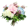 A graceful hand-tied bouquet of hydrangeas is shown against a clean, white studio background, capturing a moment of fresh, understated luxury that feels right at home in Epping's blend of town and countryside. The arrangement is generously rounded, built around large, dome-shaped hydrangea heads whose petals are tinted in soft baby pink, powdery sky blue, and creamy off-white. These pastel shades merge gently where the blooms meet, giving the impression of drifting clouds or distant spring blossom along the edges of Epping Forest. Each hydrangea head is composed of many small, velvety florets, so tightly layered that the surface appears plush and full to the touch. Between these substantial blooms, slender sprays of deep magenta filler flowers, likely waxflower, weave through with their tiny clustered petals and fine stems, providing lively sparks of colour and a delicate, lacy texture. Surrounding the flowers, a collar of rich green foliage spreads outward: some leaves are broad and dark with a polished shine, others are smaller and a softer green, together creating a natural, freshly gathered look reminiscent of bouquets prepared for delivery to homes near Epping High Street or Theydon Bois. The stems below are neatly aligned and tied, clearly showing this is a hand-tied design ready to slip into a favourite vase. Gentle, even lighting emphasises the bouquet's pastel colours and the contrast between the lush greenery and the pure white backdrop. The overall feel is serene, hopeful, and quietly celebratory, perfect for welcoming a new baby, sending comfort, or simply brightening someone's day in Epping.