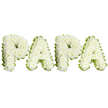 A tender and dignified memorial piece spellings the familiar name 'PAPA' in four sturdy, uppercase letters, each letter composed of a dense, domed carpet of small white blooms-carefully selected spray chrysanthemums or similar tight-petaled white flowers that give the surface a soft, cloud-like texture. The letters sit evenly in a horizontal line against a pure white background, their clean shapes given extra definition by a delicate, wavy border of light green ribbon and narrow foliage that traces each curve and angle. From close up you can sense the florist's hand in the precise packing of stems: blossoms are nestled tightly so the letters appear almost sculpted, with tiny shadows playing between petals and a subtle, comforting scent of fresh chrysanthemums on the air. The pale green edging provides a gentle contrast that brightens the white without breaking its solemn tone, and the slight doming of each letter catches soft studio light to reveal fine texture and depth. Visually, this tribute reads as both intimate and formal-a personal message of farewell and a classic funeral or graveside tribute designed to honor a father or grandfather. Families in Epping often choose this restrained white-and-green palette for its symbolism of peace and purity; the arrangement evokes quiet respect and enduring love, whether placed by Epping High Street funeral services, at a church in the town centre, or left by the green margins of nearby Epping Forest. The overall impression is one of tender craftsmanship: simple materials, carefully shaped into a lasting expression of grief, memory, and deep familial affection.